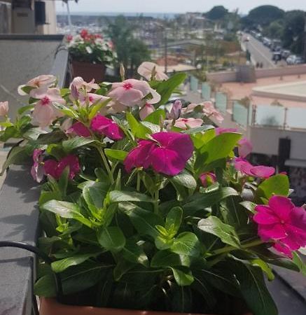 B&B La Costa Di Naxos 贾迪尼-纳克索斯 外观 照片